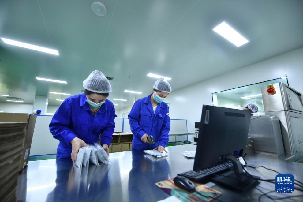 游戏捕鱼王